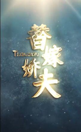 替嫁娇夫海报